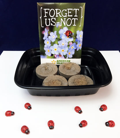 Ivy Kids Kit - Are you a Ladybug?