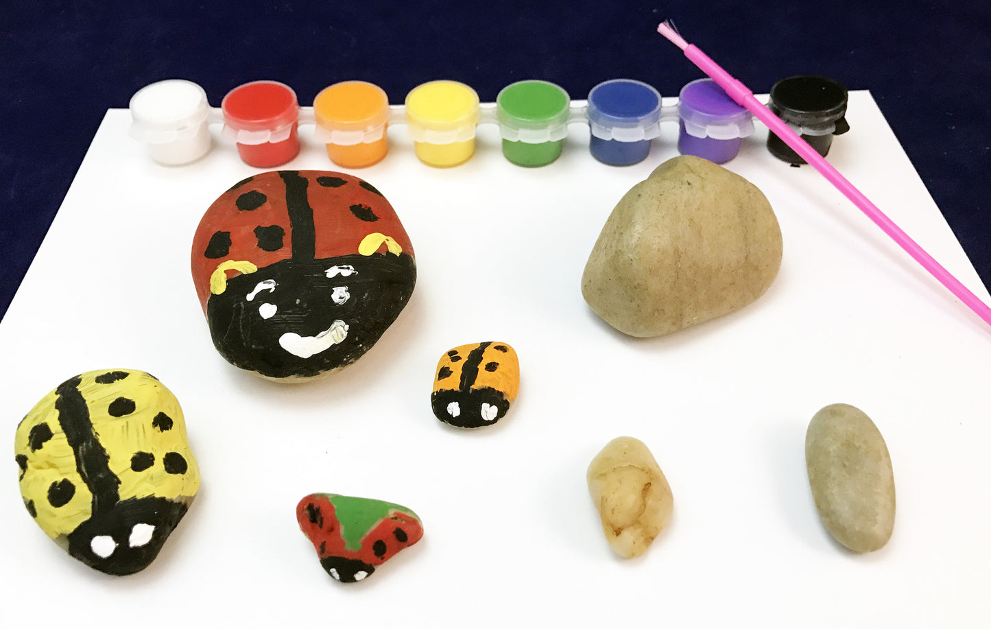 Ivy Kids Kit - Are you a Ladybug?