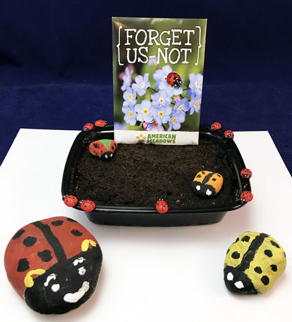 Ivy Kids Kit - Are you a Ladybug?