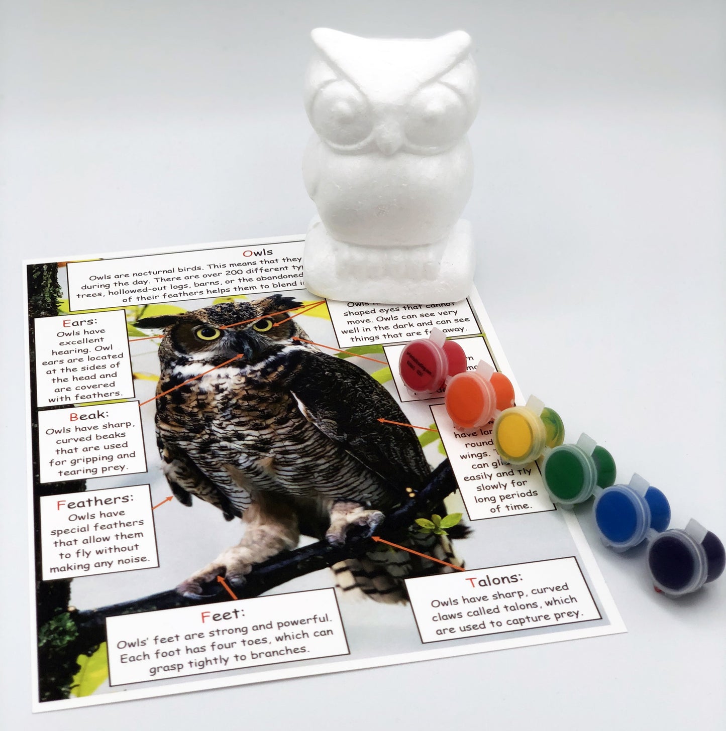 Ivy Kids Kit - Good-Night, Owl!