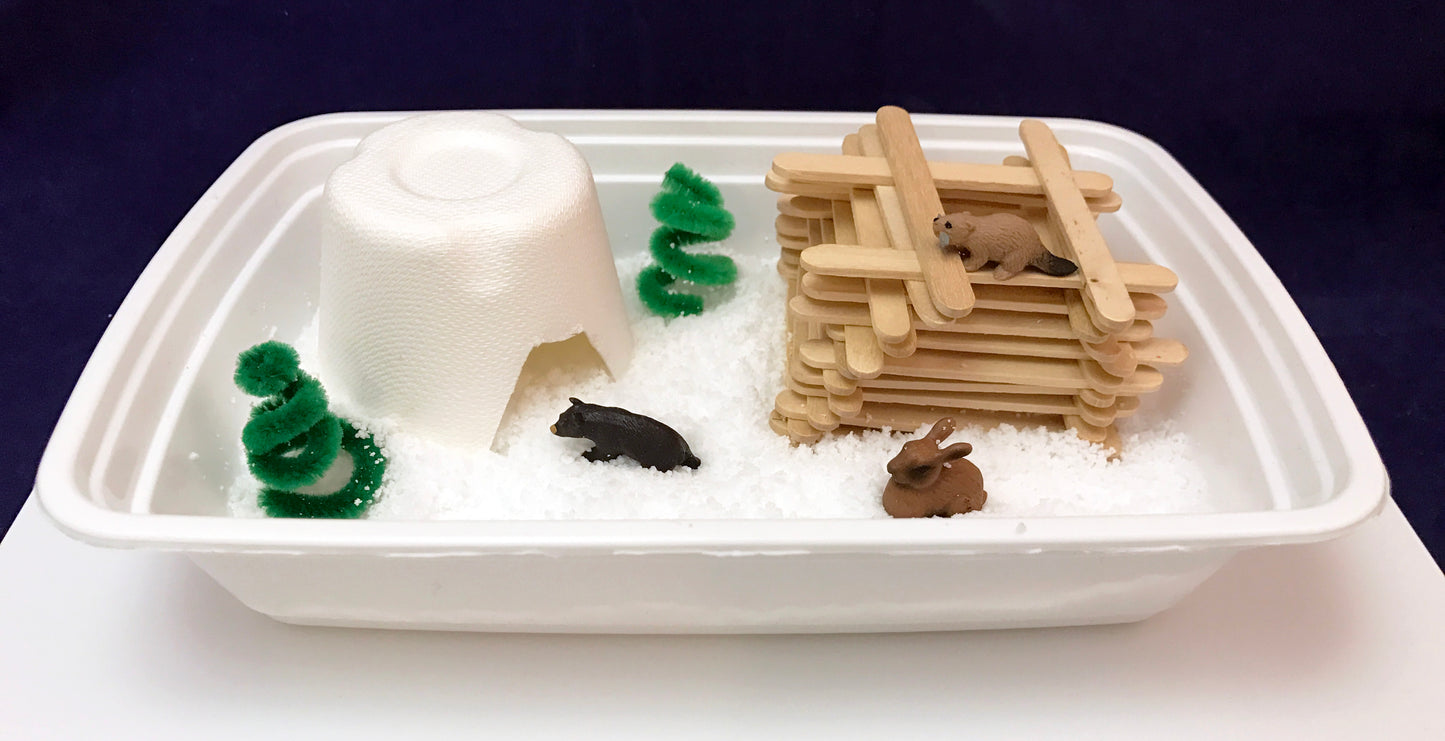 Create a Winter Woodland Habitat