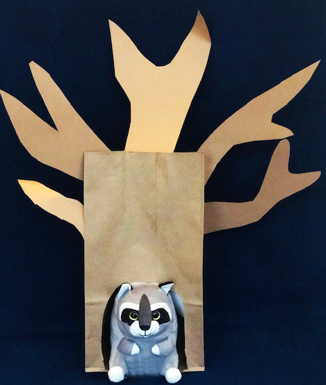 Raccoon Den kids project science