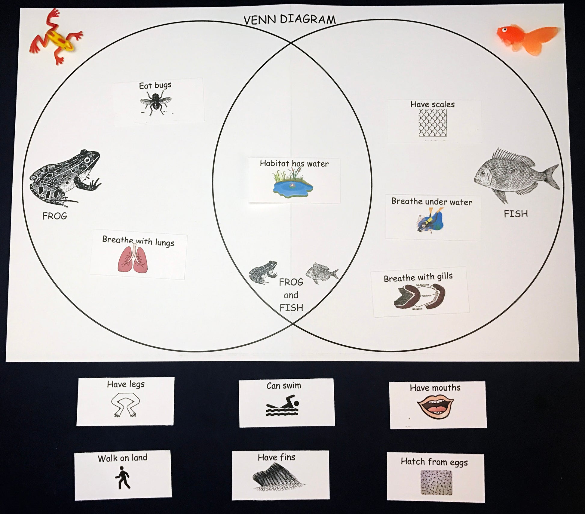 Venn Diagram Fish vs Frogs