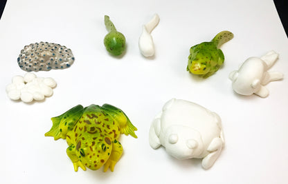 Ivy Kids kit - Fish is Fish