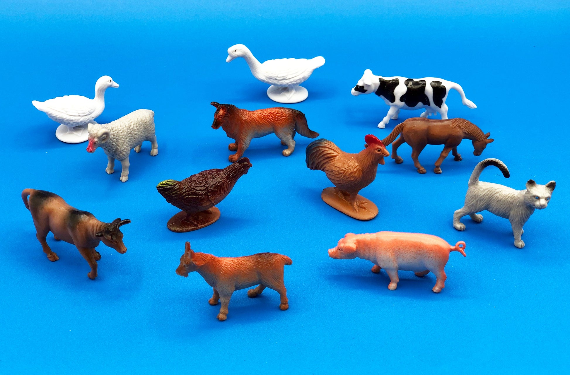 Farm animals