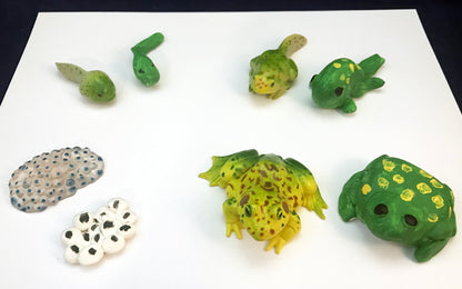 Ivy Kids kit - Fish is Fish