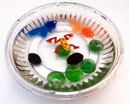 Ivy Kids kit - Fish is Fish