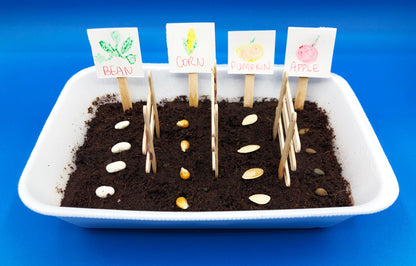 planting crops with kids