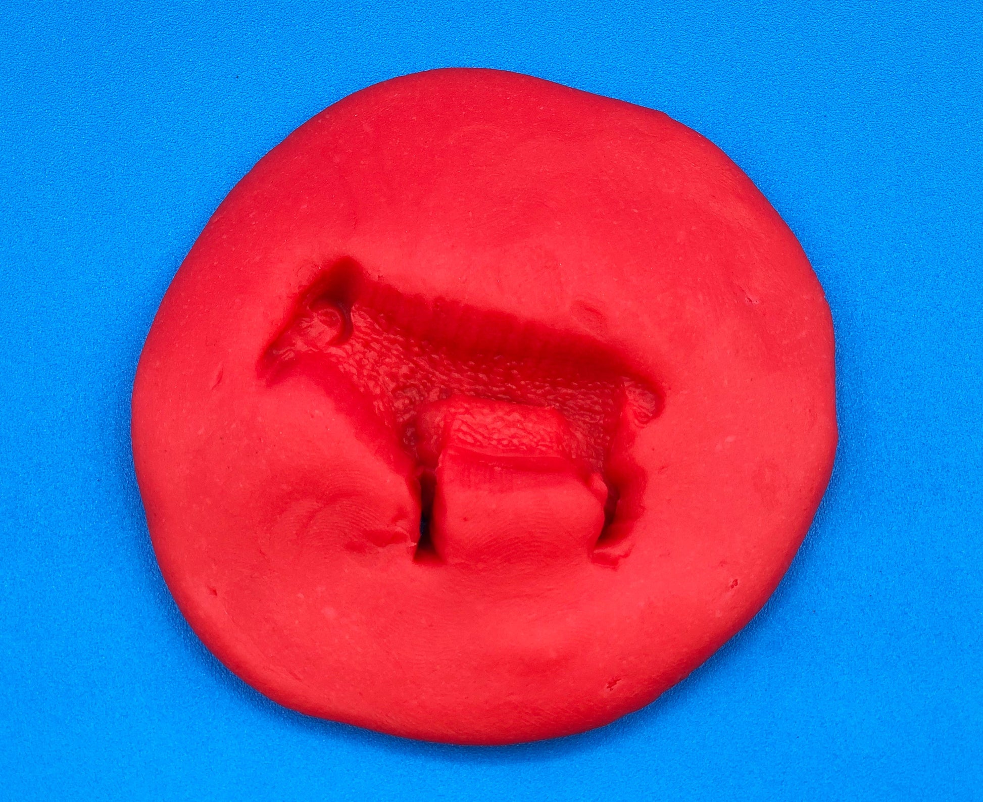 animal impression in playdough