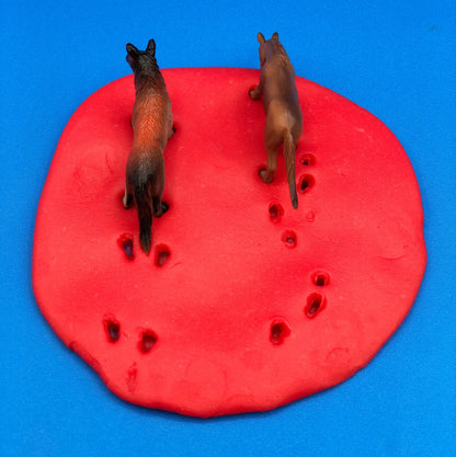 animal tracks in playdough