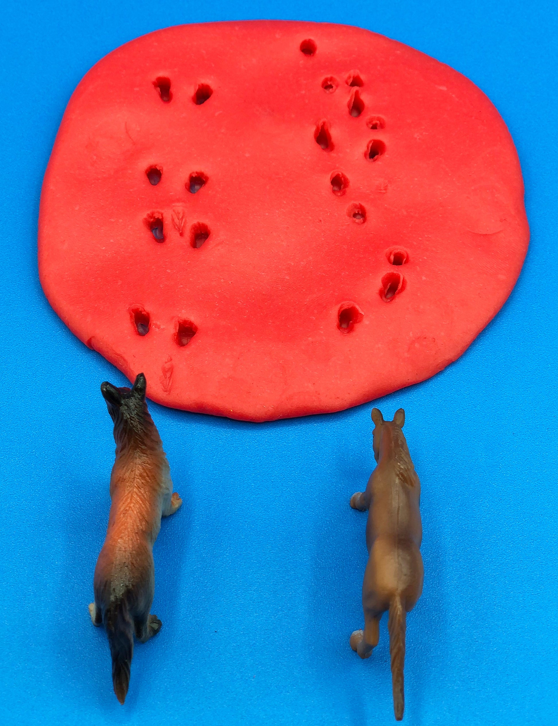 animal tracks in playdough