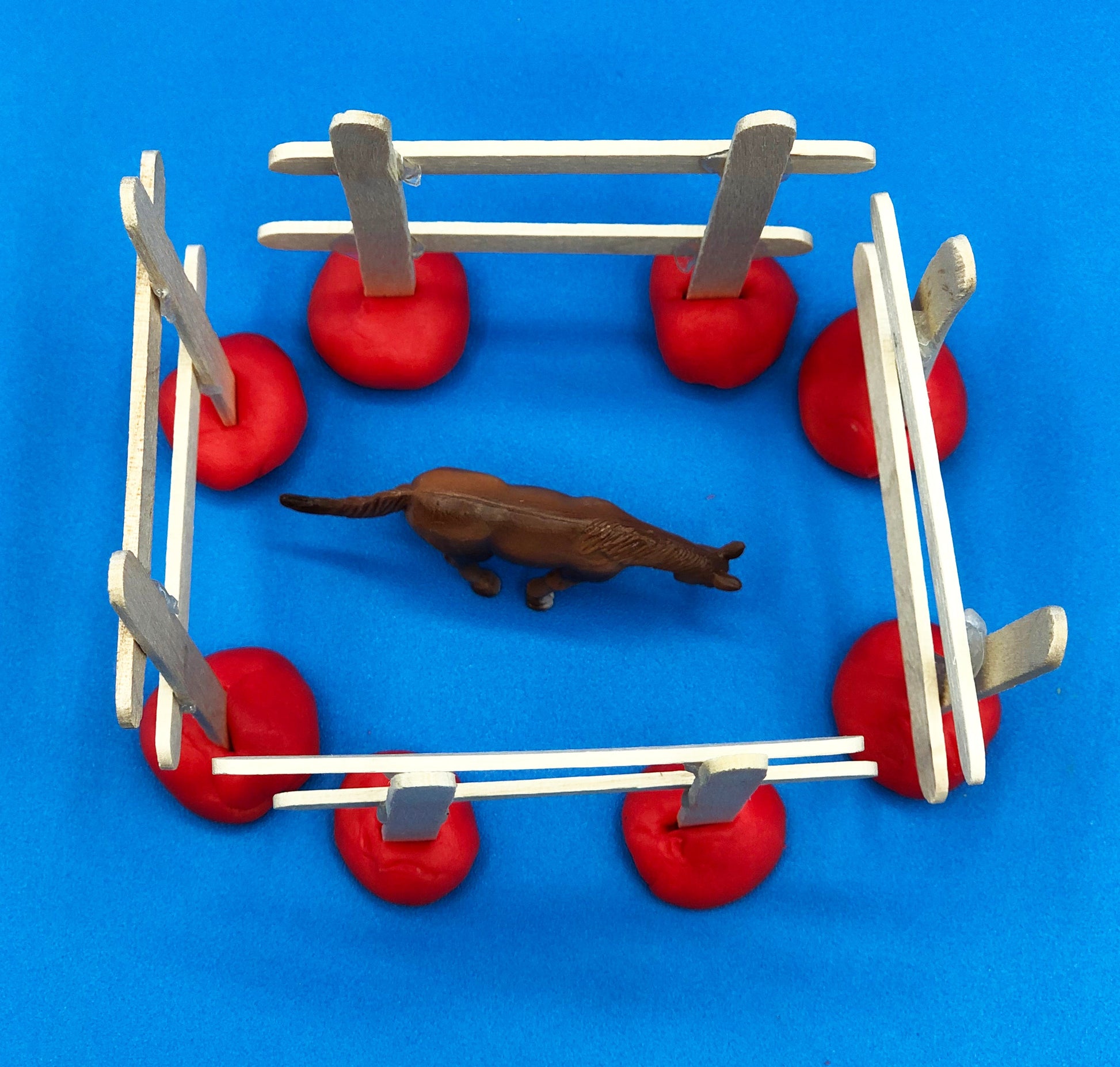 Building animal fences STEM kids