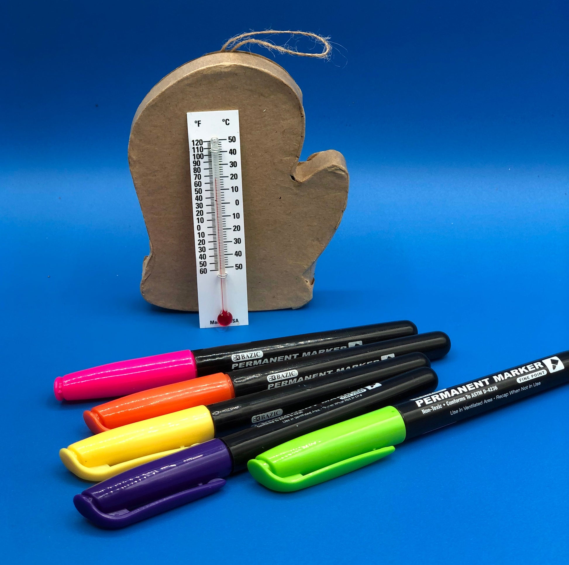 Mitten ornament with thermometer science