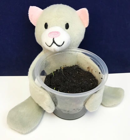 Ivy Kids Kit - Marshmallow