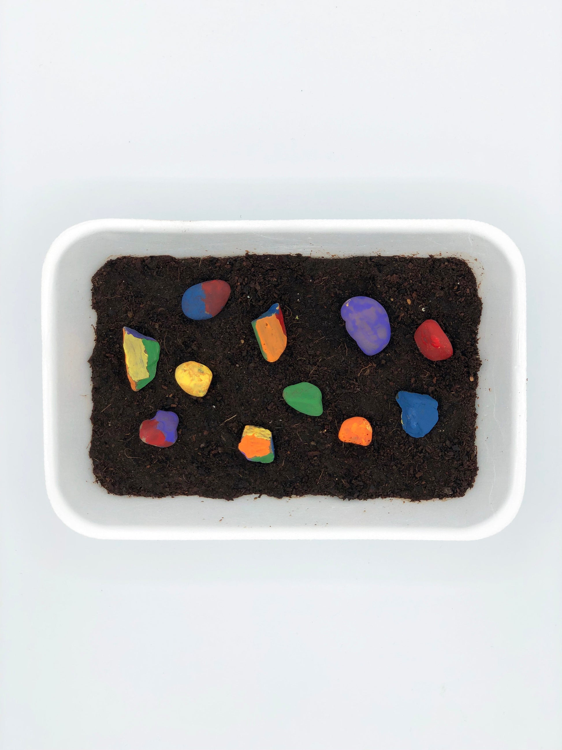 Rock Garden Kids Activity 