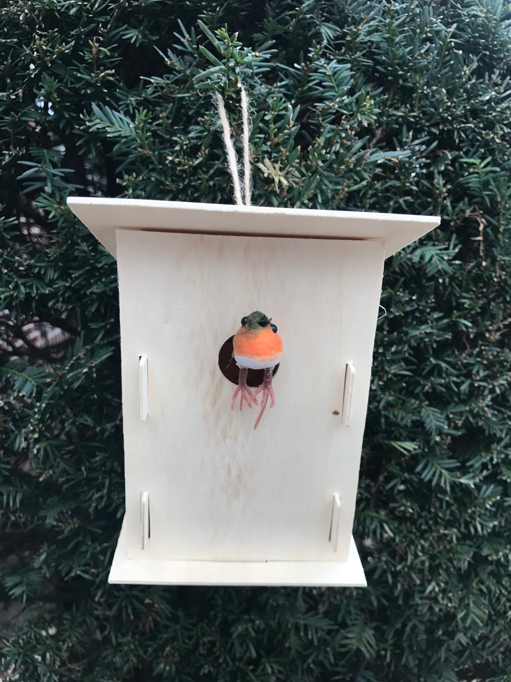 Spring project kids Build a birdhouse art project craft 
