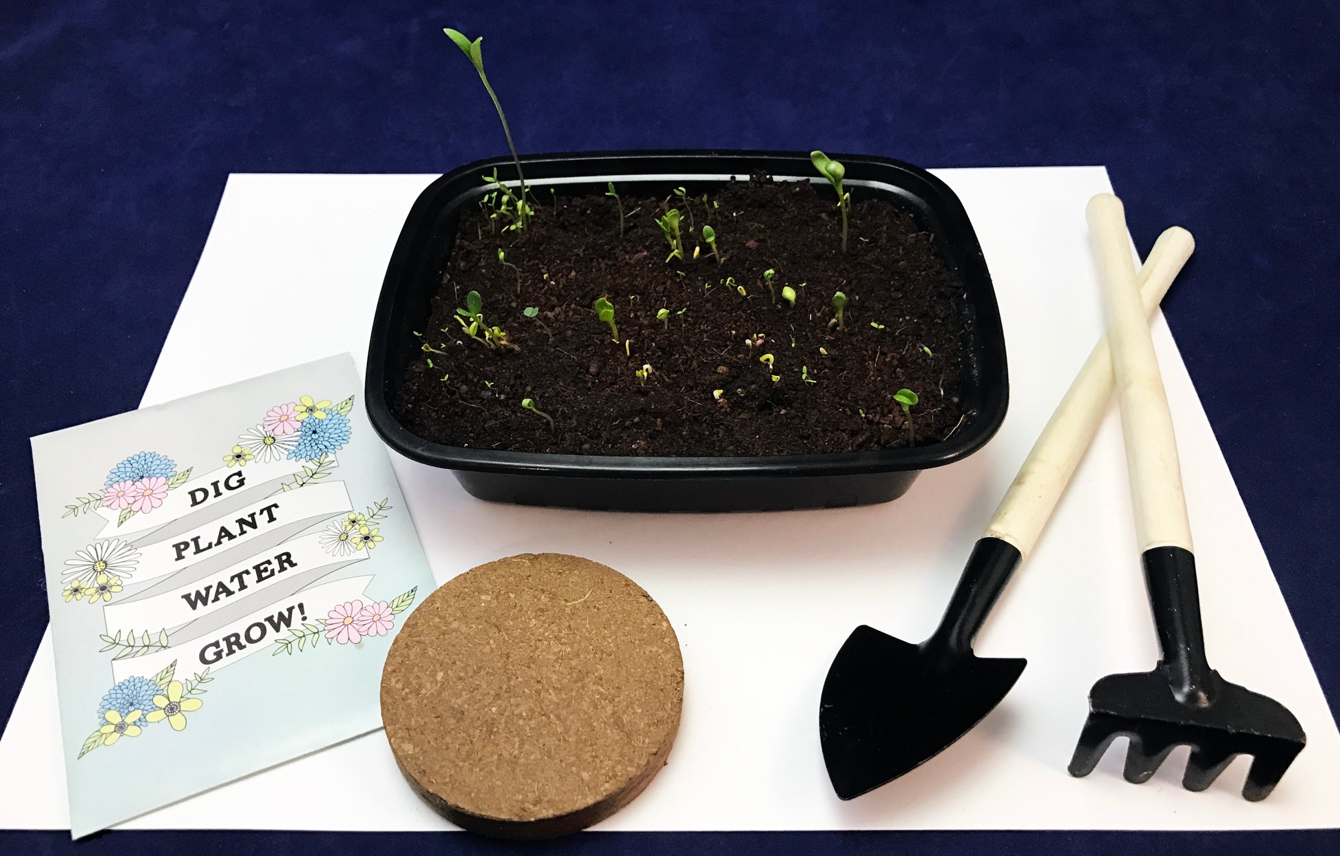 Plant your own garden children's activity garden tools kids wildflower seeds