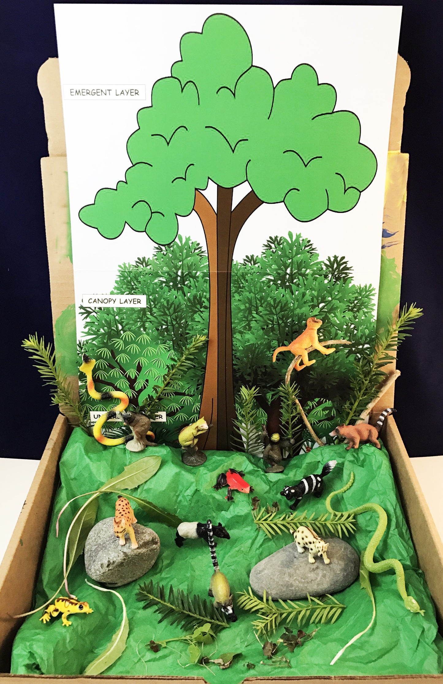 Ivy Kids kit - The Rainforest Grew All Around