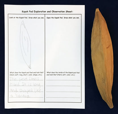 Ivy Kids kit - The Rainforest Grew All Around
