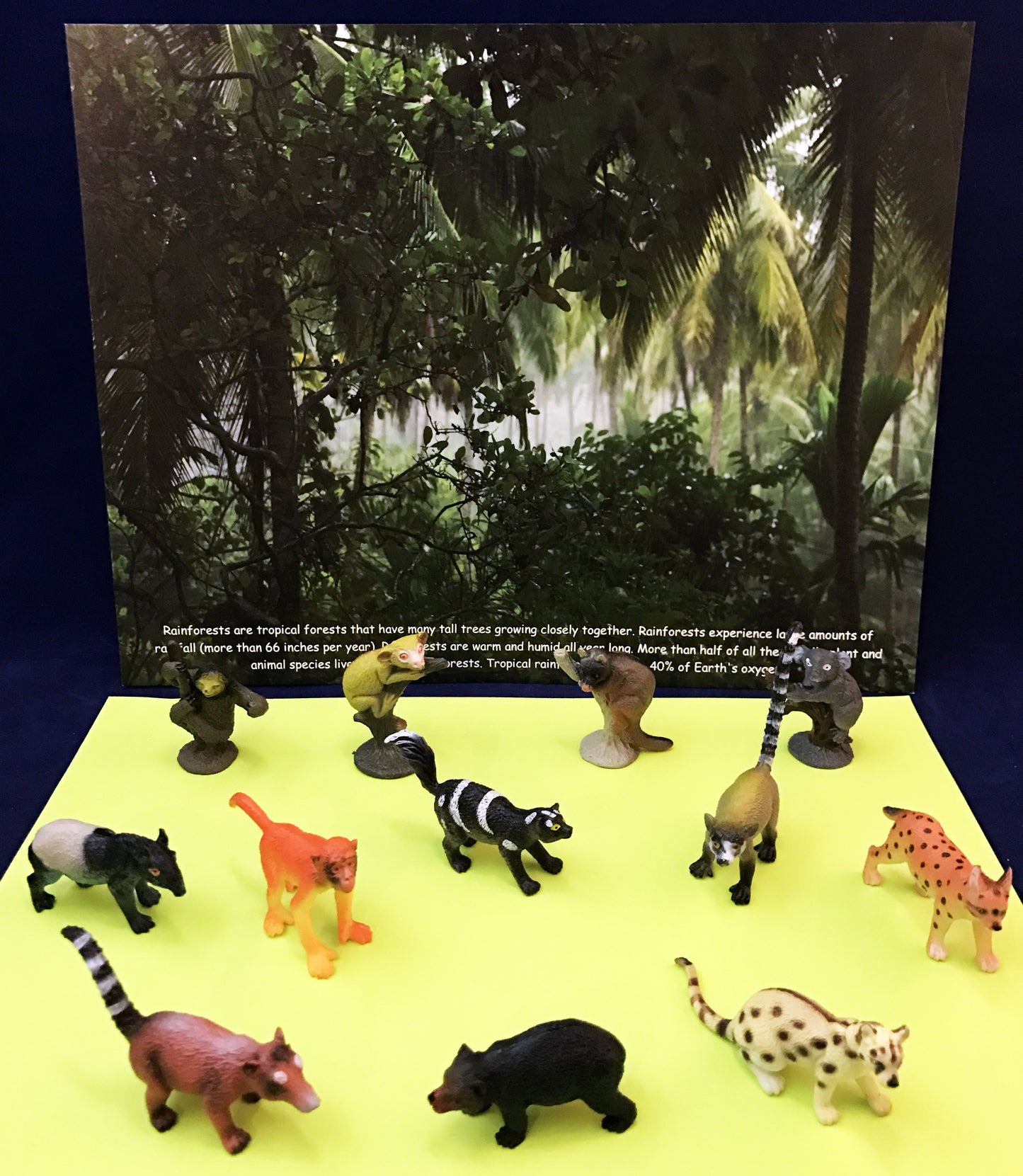 Ivy Kids kit - The Rainforest Grew All Around