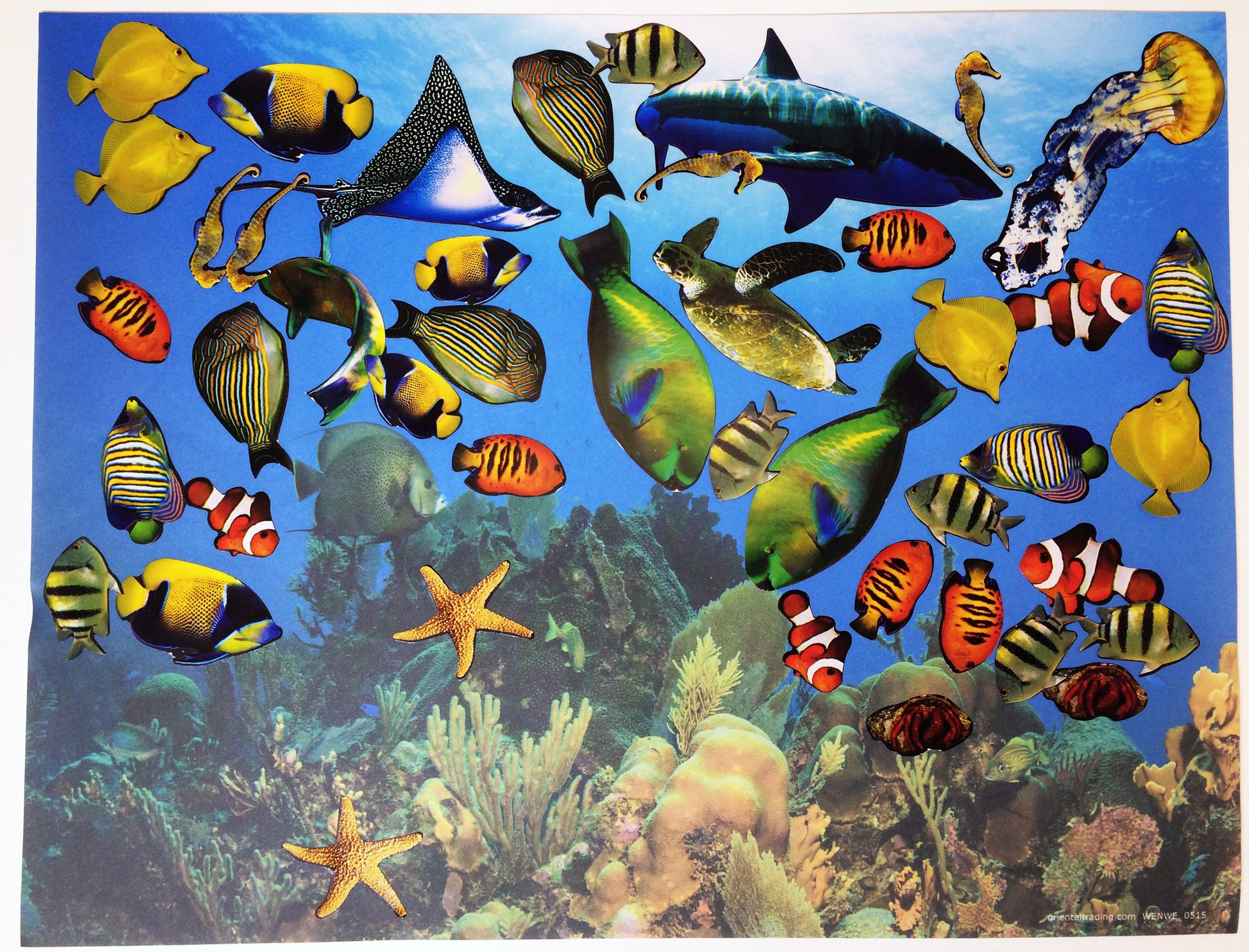 Science and art activity inspired by the book Over in the Ocean in a Coral Reef: Create your own coral reef scene using stickers