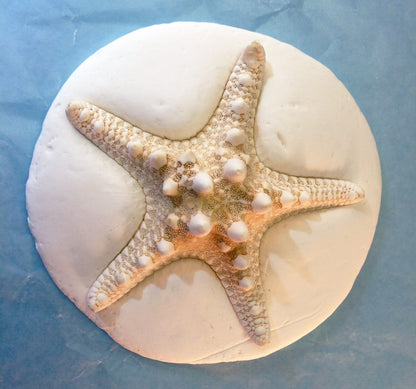 Science and art activity inspired by the book Over in an Ocean in a Coral Reef. Use sea creatures, starfish, and seashells to make clay imprints