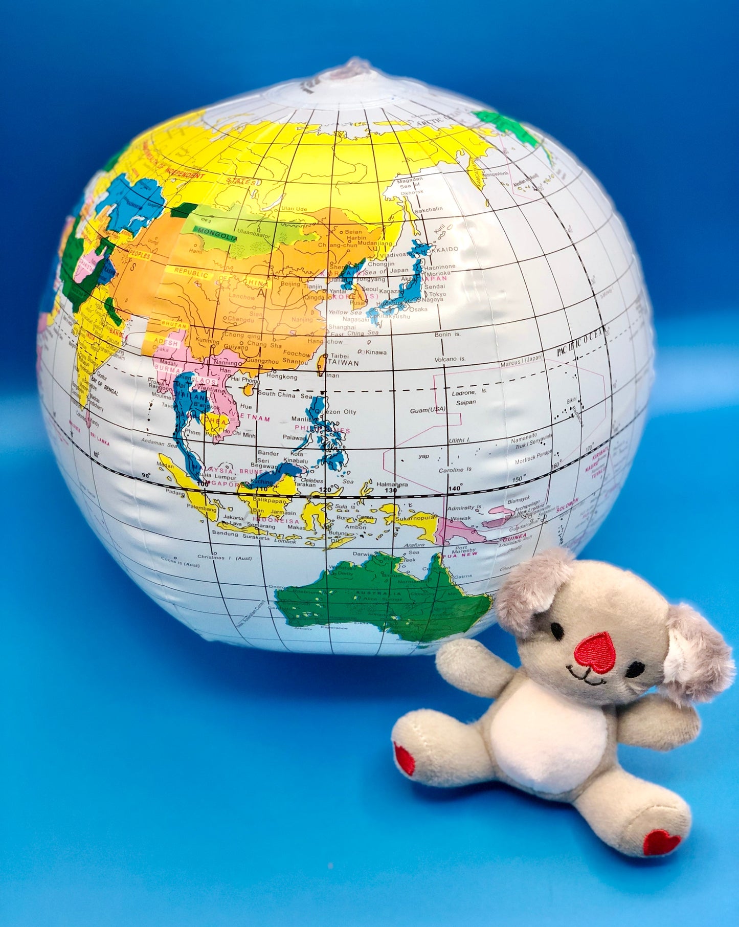 globe to learn about Australia and koalas