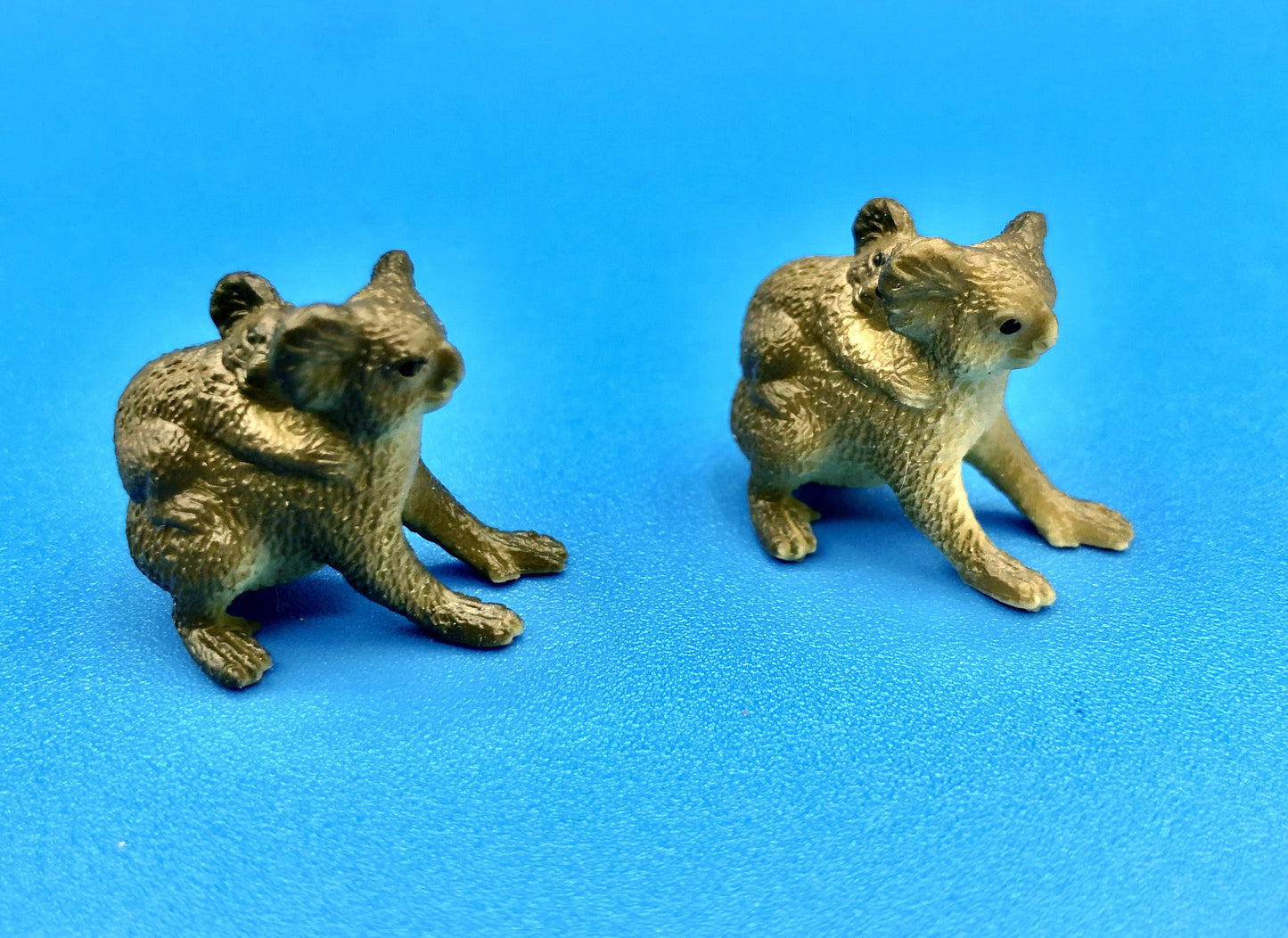 Koala pawns