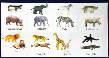 Animal matching game