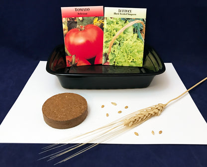 Plant tomatoes, lettuce, wheat grains crops science activity Farm theme kids