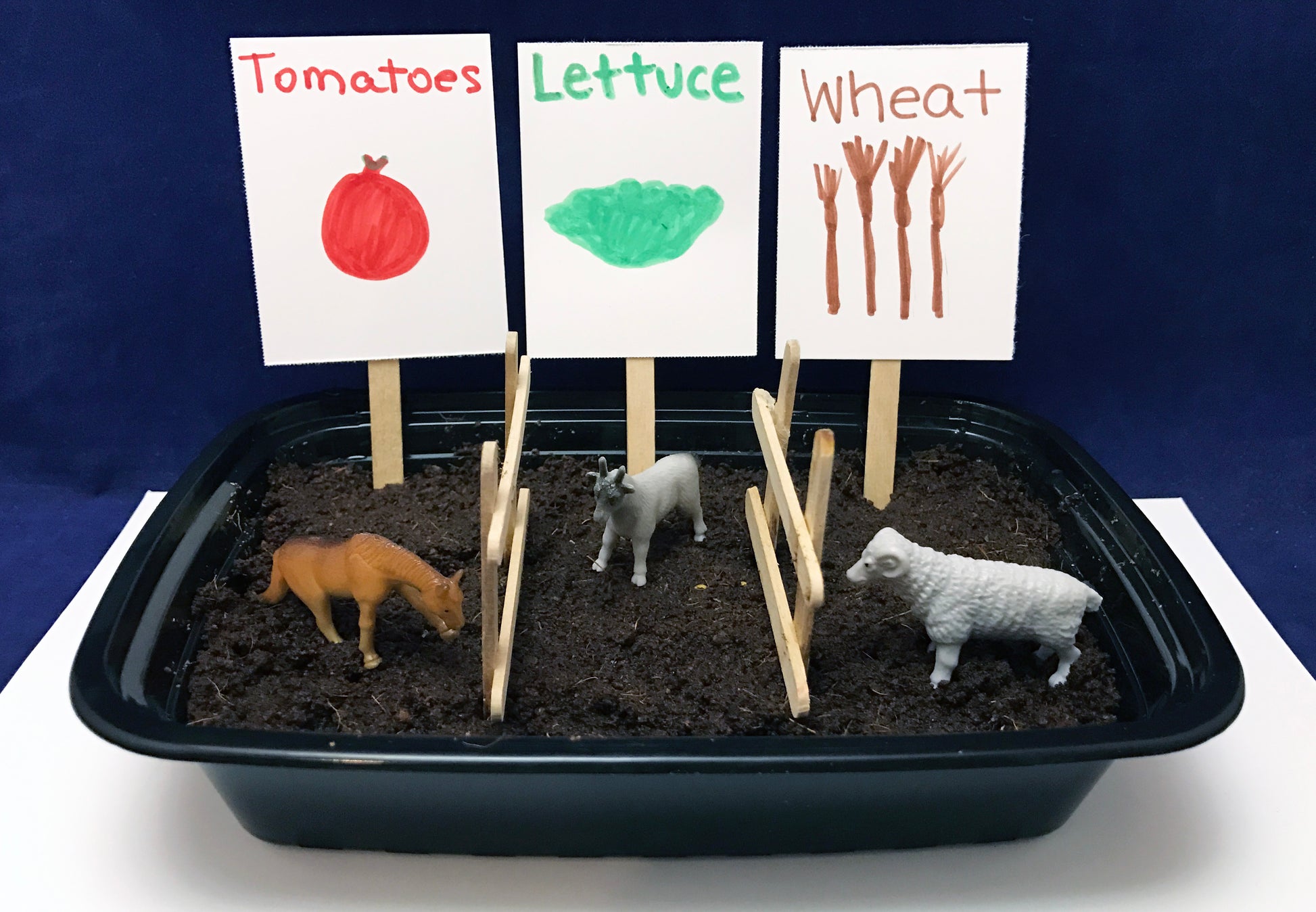 Plant your own crops science activity Farm theme kids