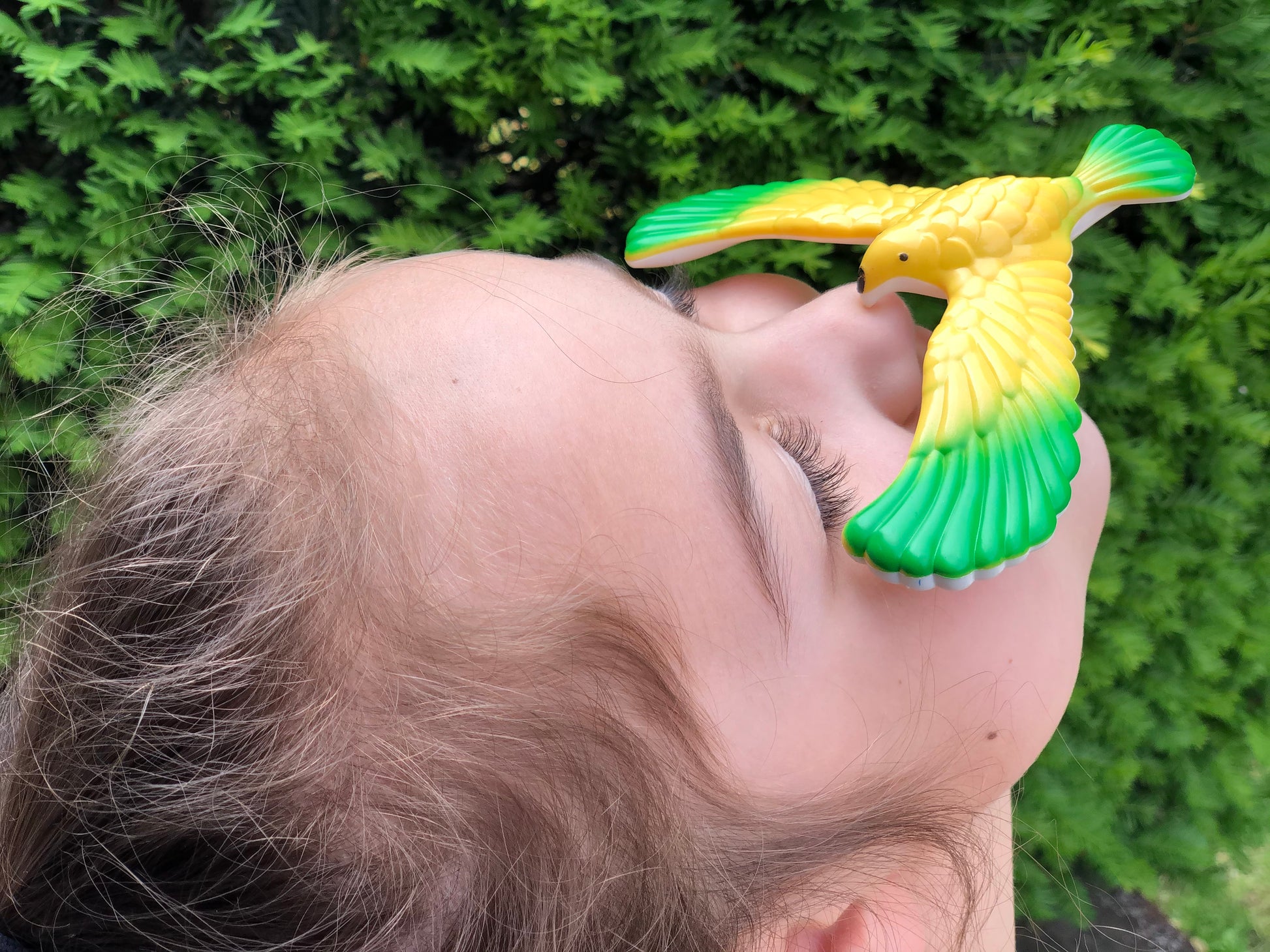 Balancing Bird Toy
