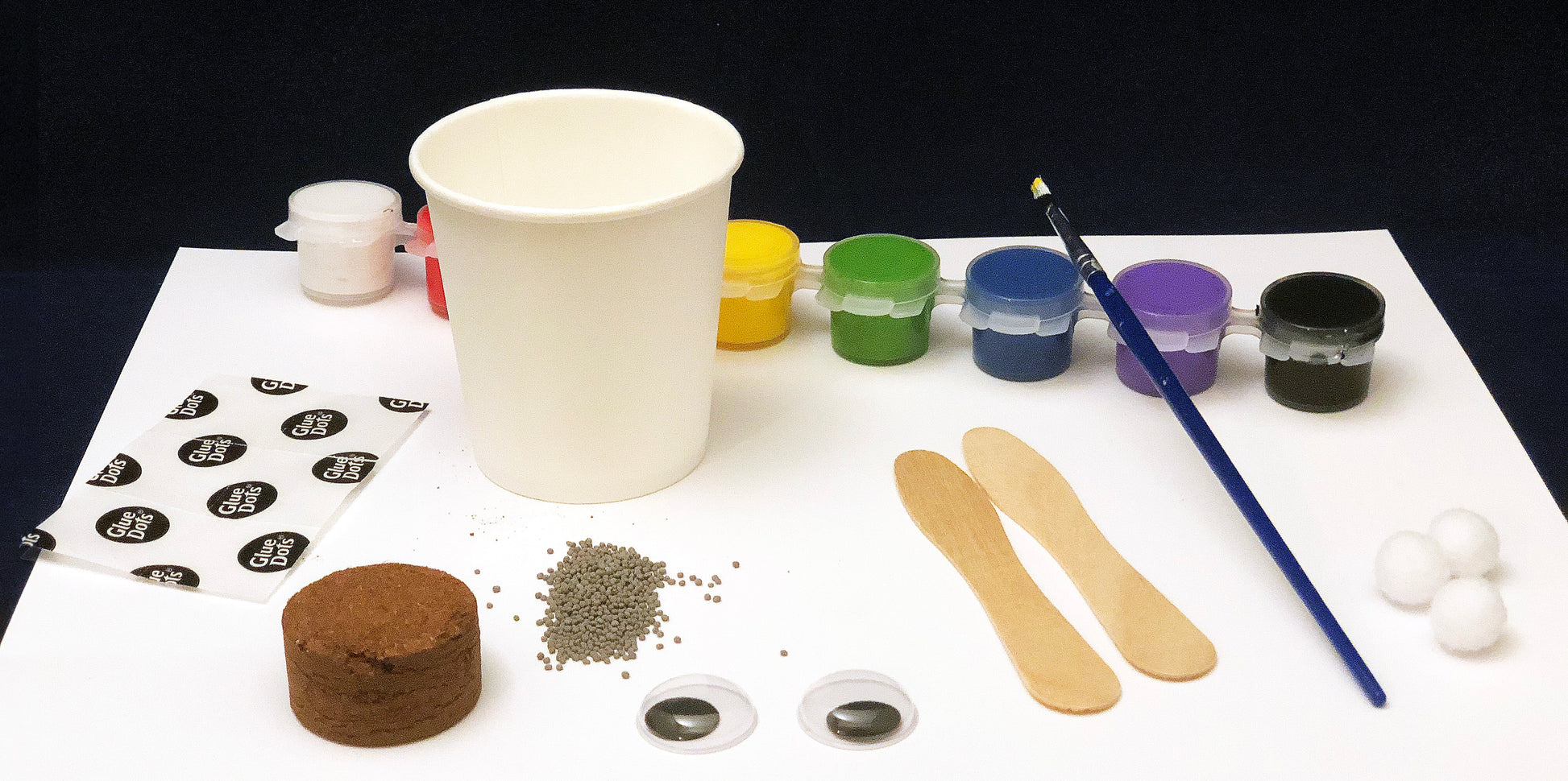 Llama planter science project kids