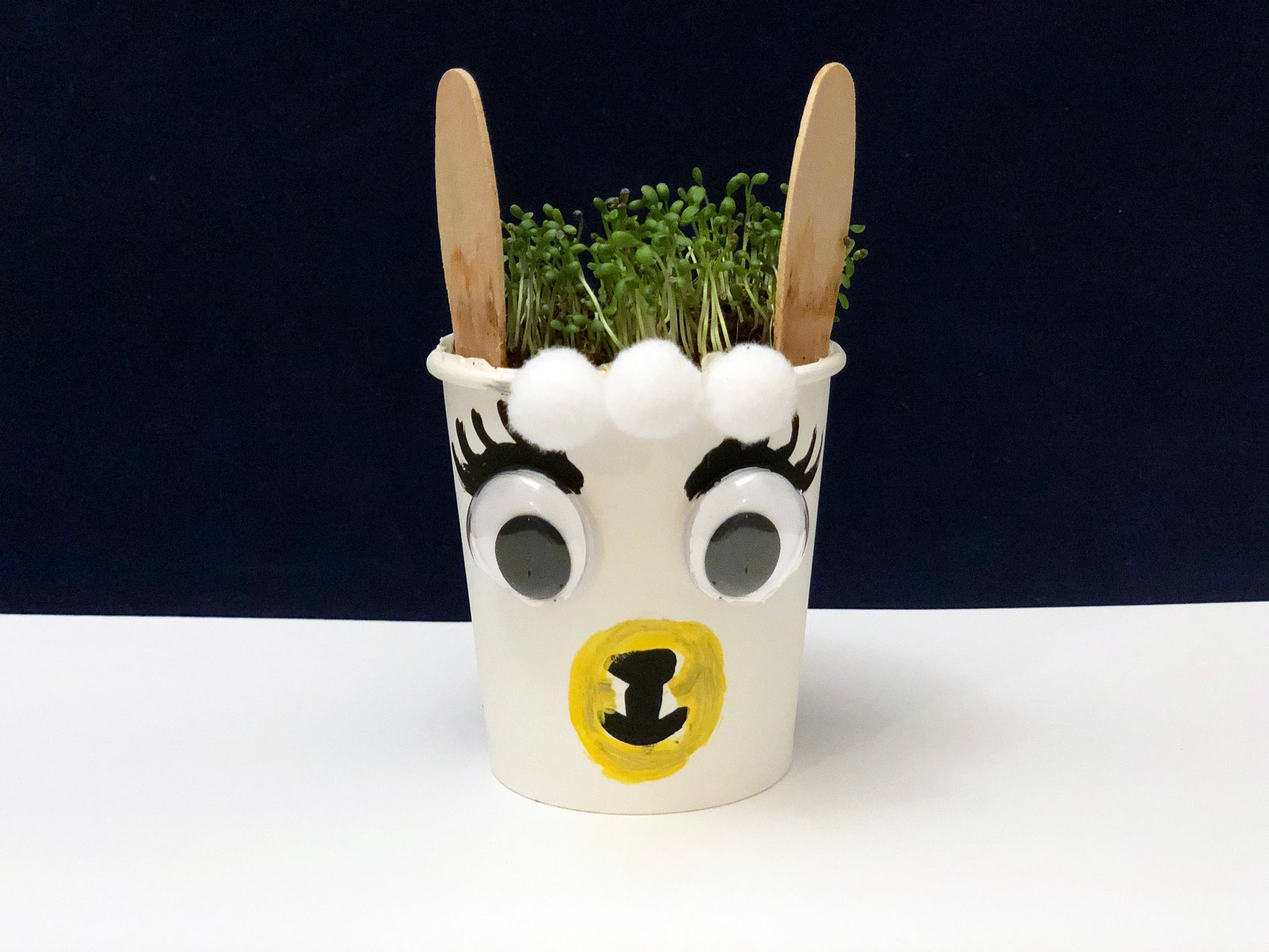 Llama planter science project kids