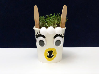 Llama planter science project kids
