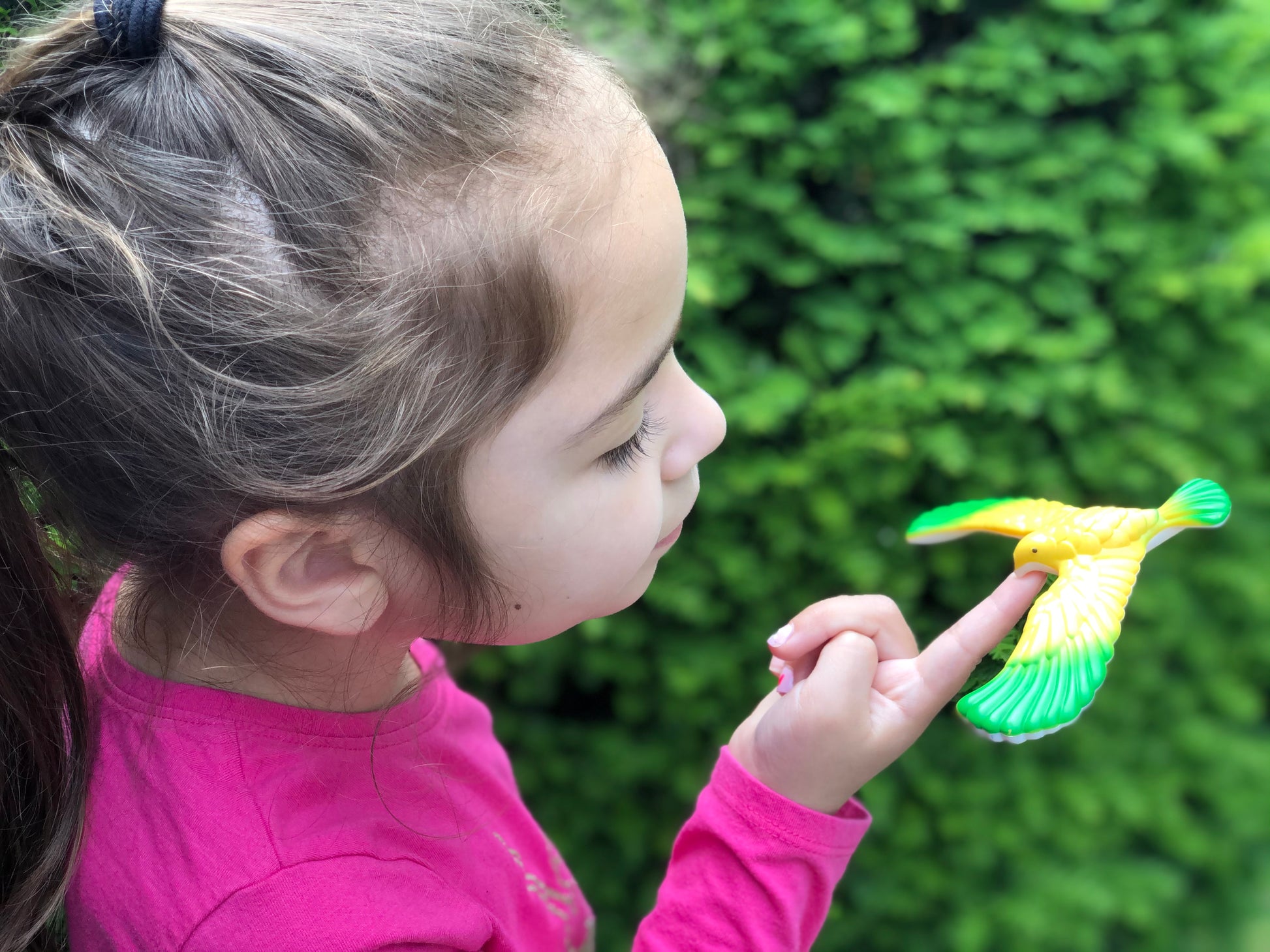 Balancing Bird Toy
