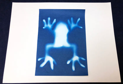 Make sun print record a shadow kids science