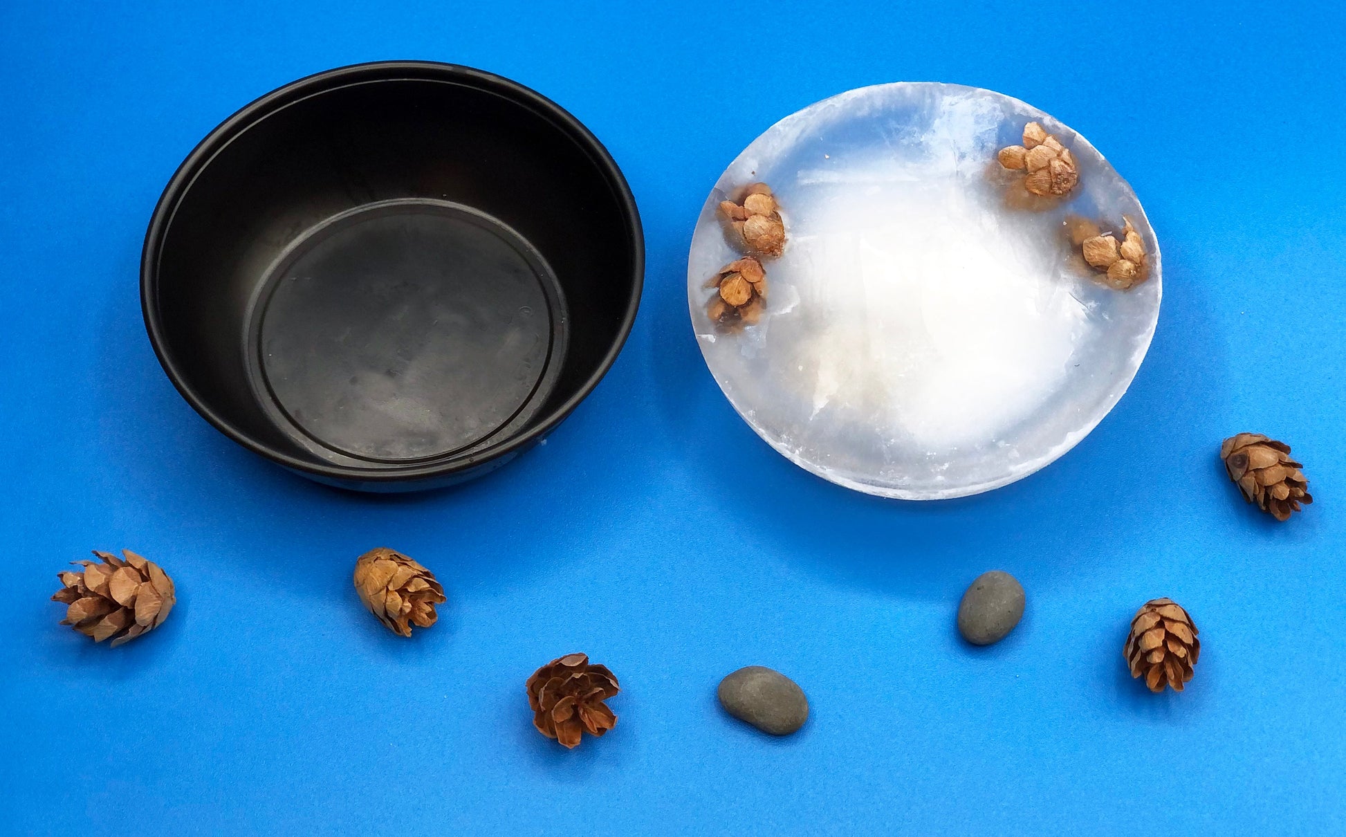 Frozen Pond STEM activity