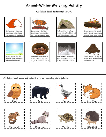 Animal-Winter Matching Activity