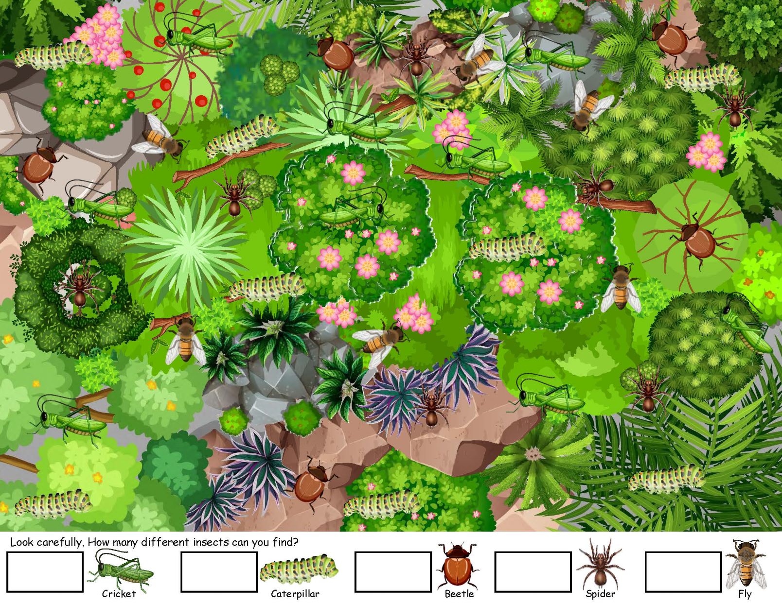 hiding insects game I spy insects
