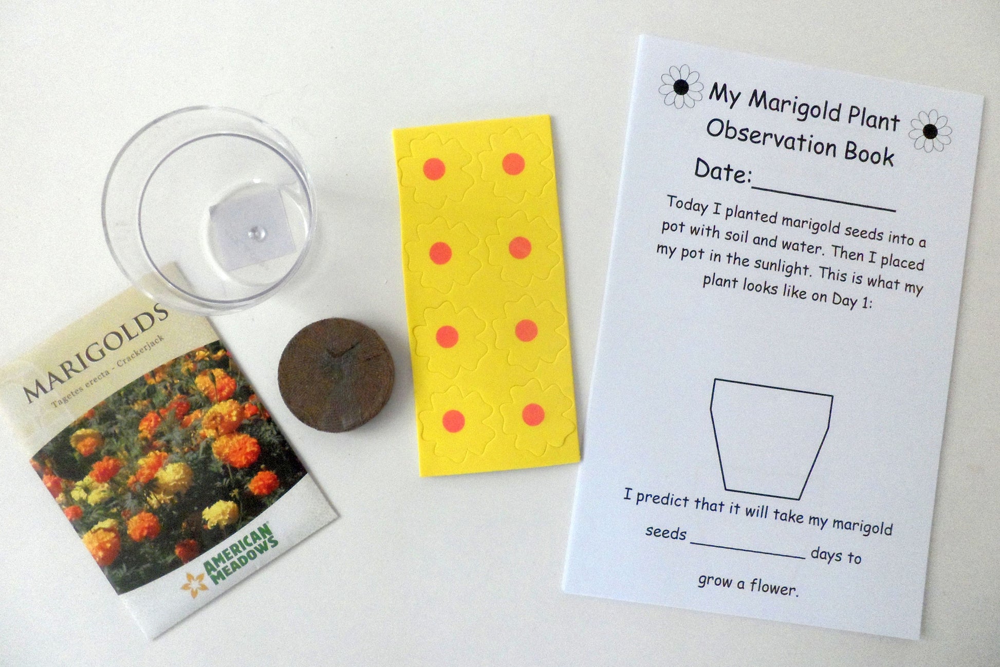 The Tiny Seed - Planting Marigolds {Kid Science}