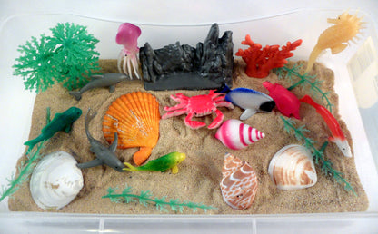 Design a hermit crab habitat - A House for Hermit Crab - Ivy Kids subscription box activities.