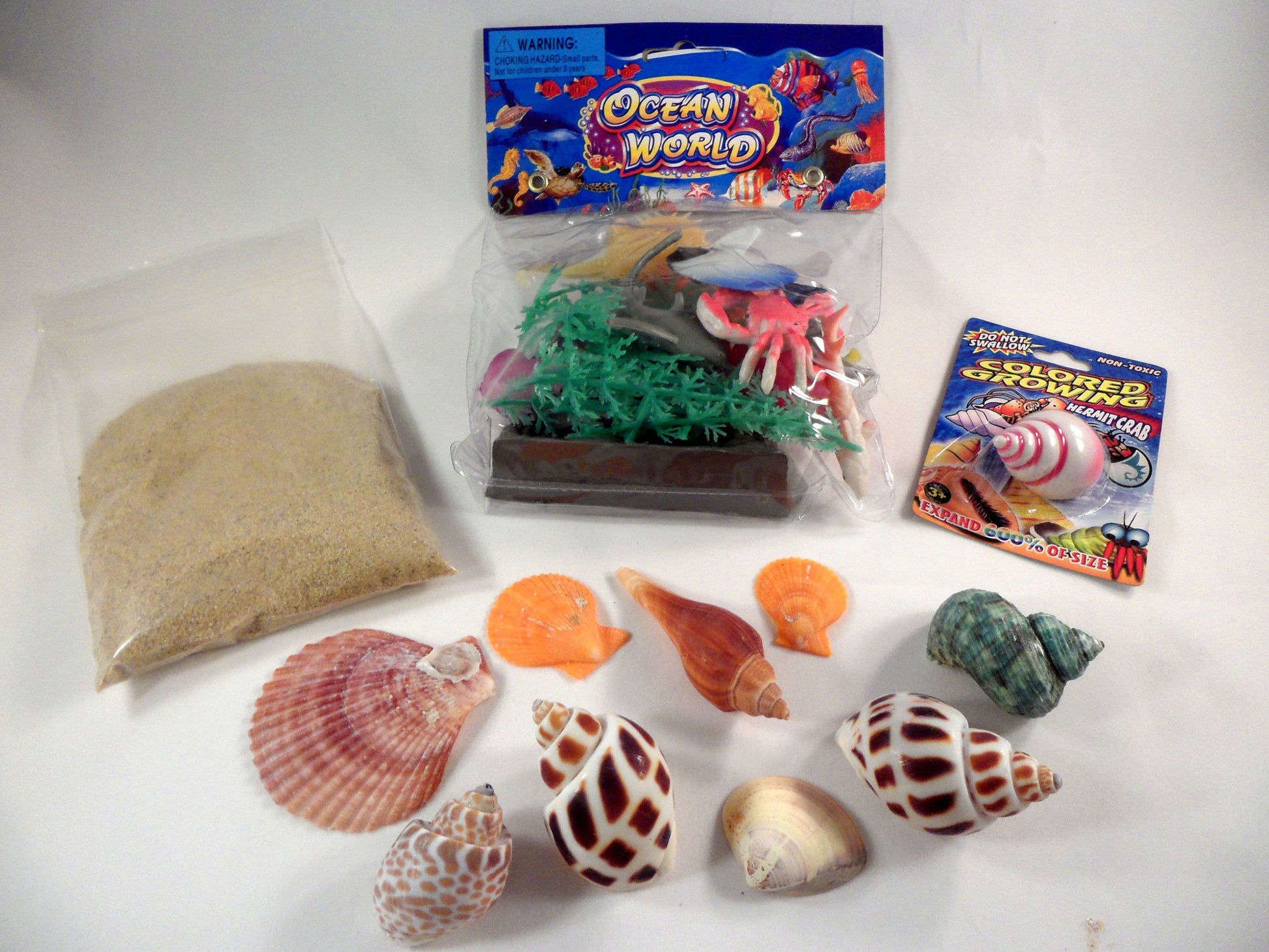 Design a hermit crab habitat - A House for Hermit Crab - Ivy Kids subscription box activities.