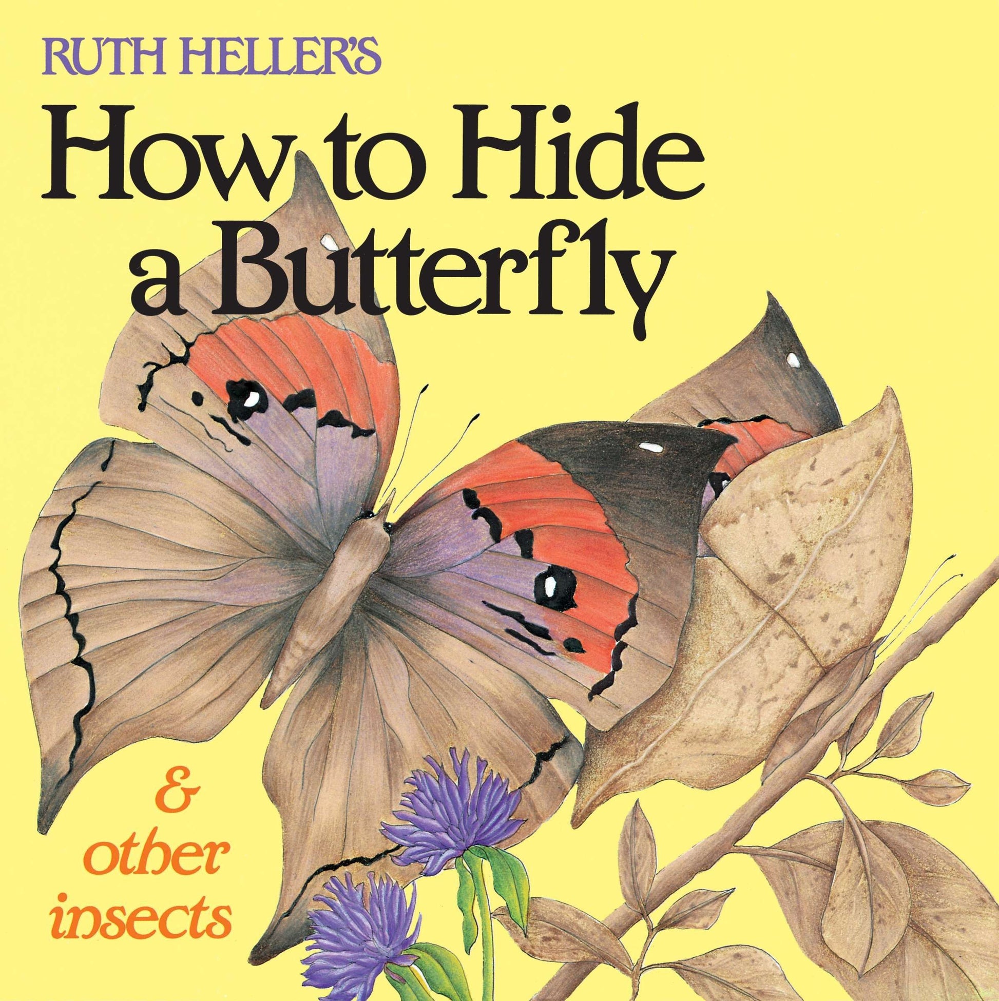 Butterfly children's book