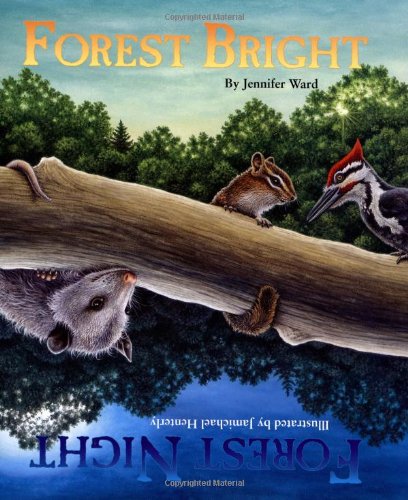 Forest Bright Forest Night Children's Book