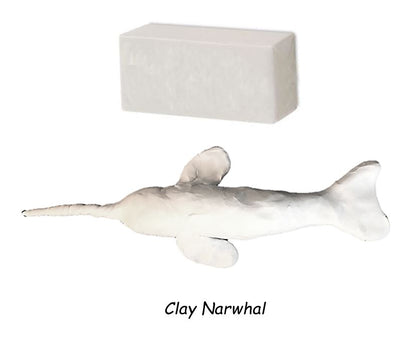 Ivy Kids Kit - The Lost Narwhal