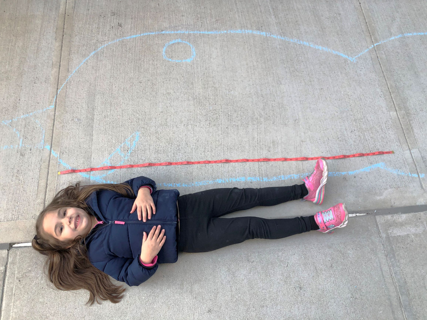 Ivy Kids Kit - The Lost Narwhal