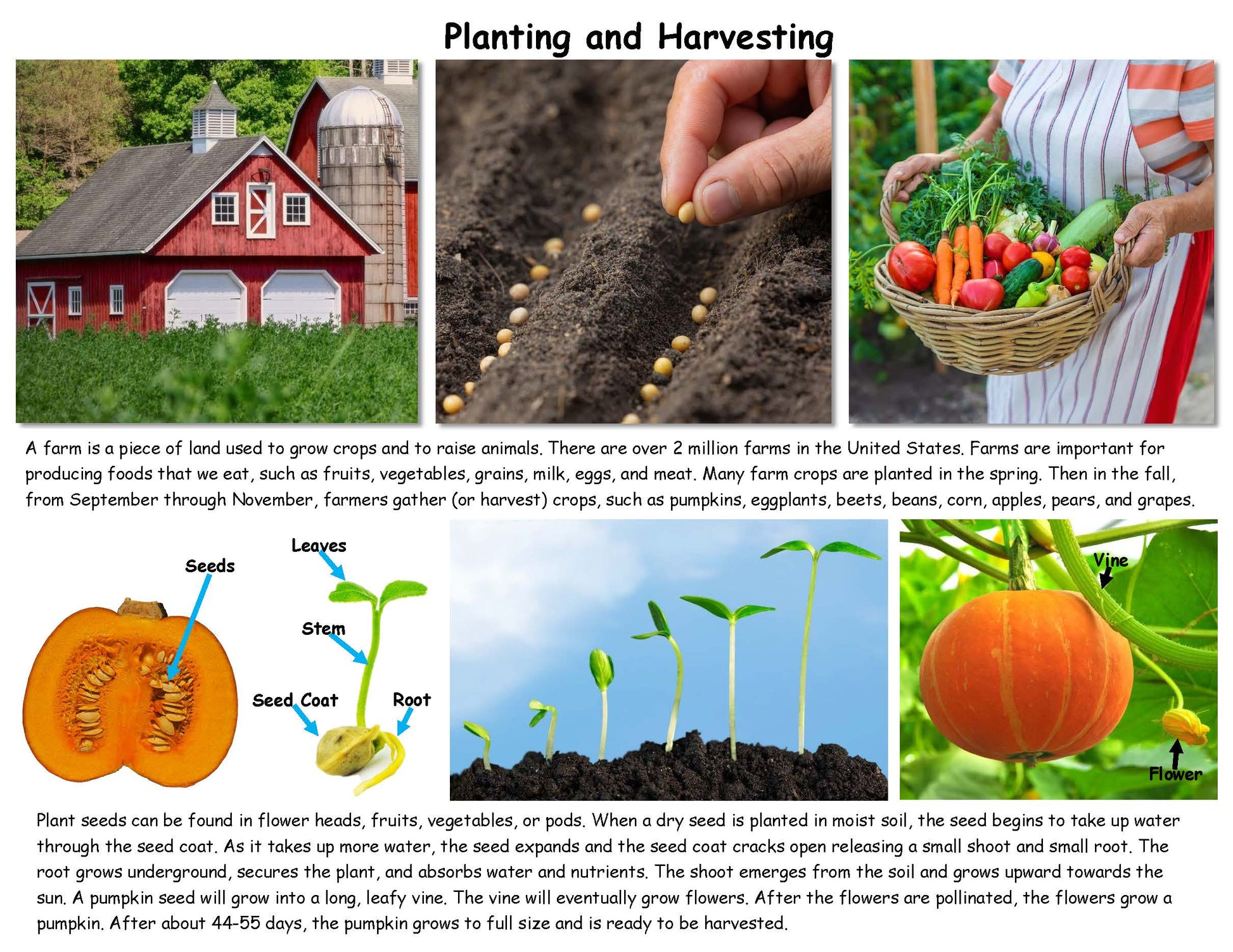 Farm Facts
