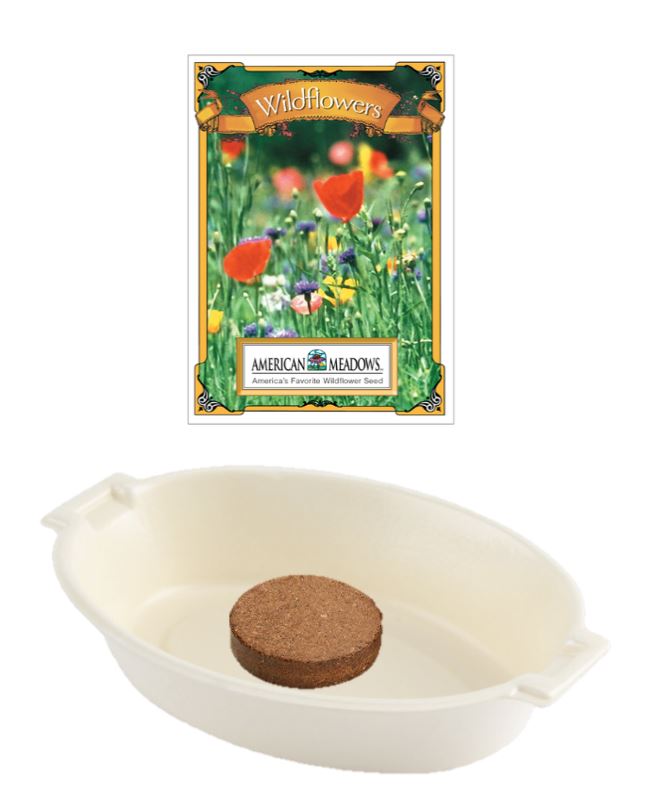 wildflower seeds children's butterfly garden