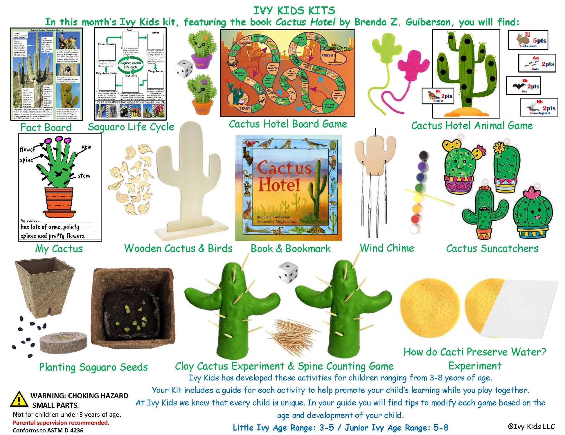 Cactus and desert themed kids STEM activities